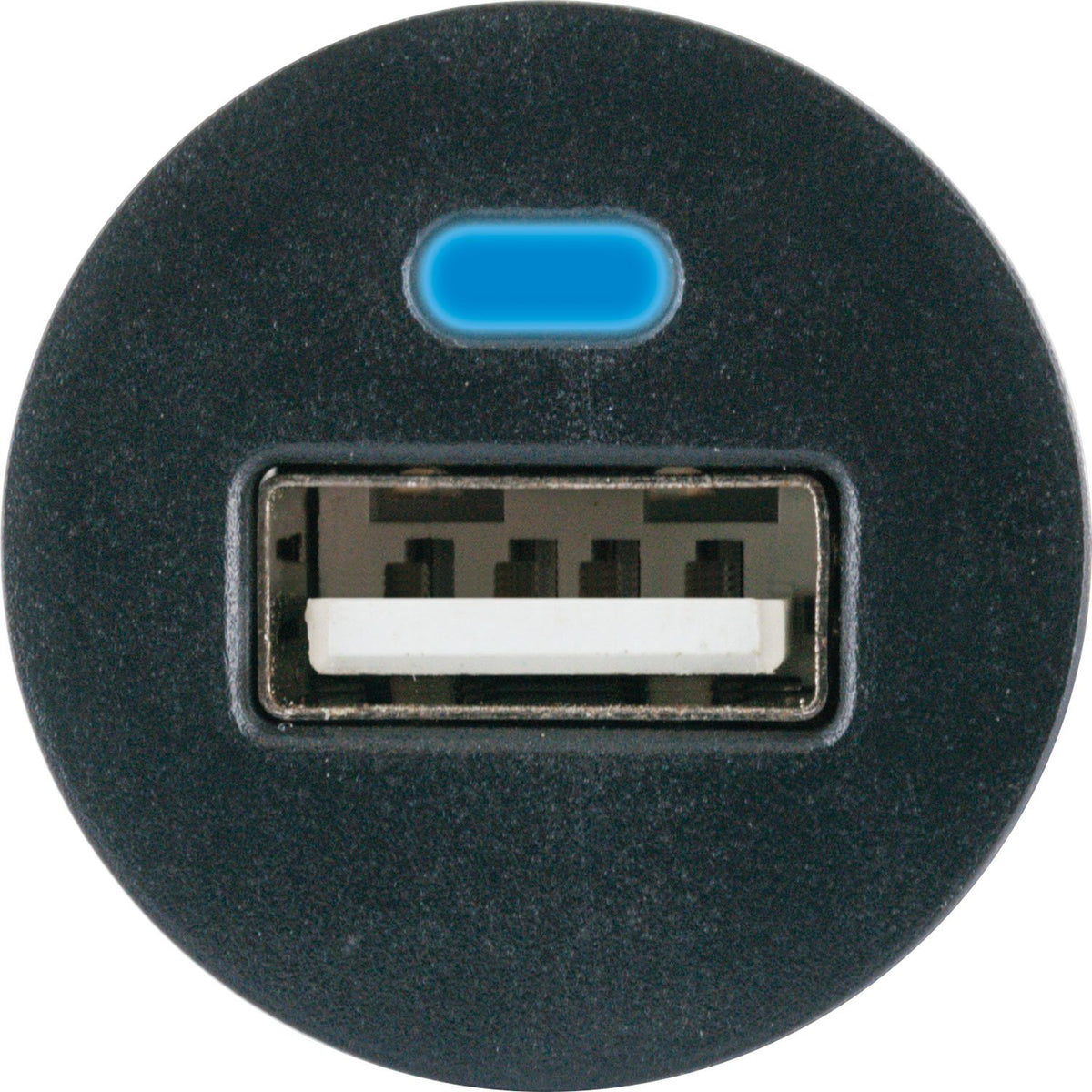 KFZ Ladegerät 12/24 V USB-A mit Status LED