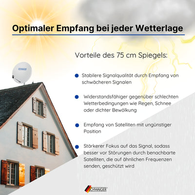 Satellitenanlage Set Hellgrau Stahl 75 cm