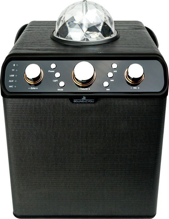 Bluetooth® Party Lautsprecher (30W)