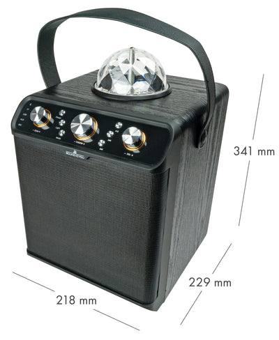 Bluetooth® Party Lautsprecher (30W)