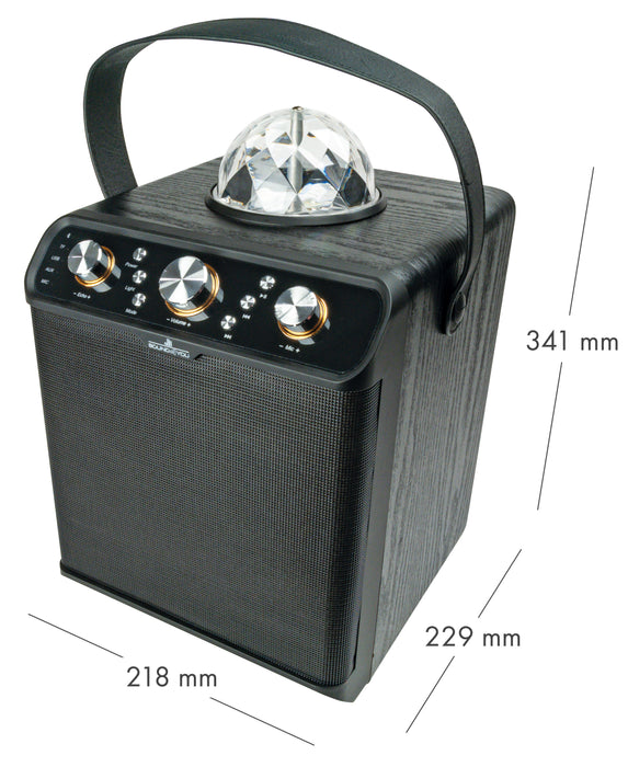 Bluetooth® Party Lautsprecher (30W)