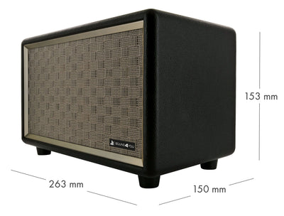 Retro Bluetooth® Lautsprecher (24W)
