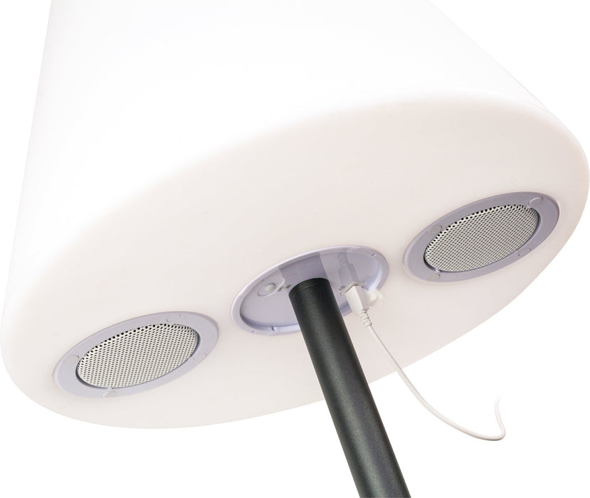 Solar-Stehleuchte mit Lautsprecher 1,5 m RGB