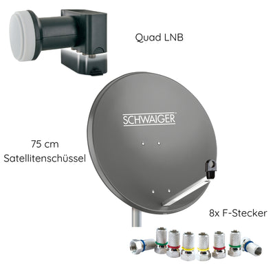 Satellitenanlage Set Anthrazit Stahl 75 cm