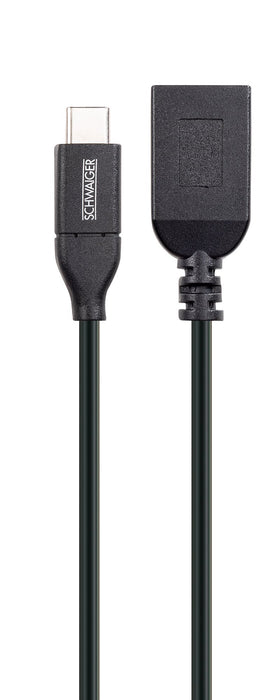 USB 3.1 Adapter C auf A-Buchse