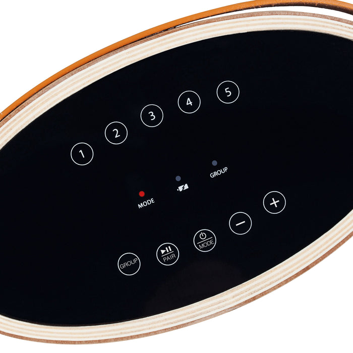 TIBO Lautsprecher smart WiFi 30W