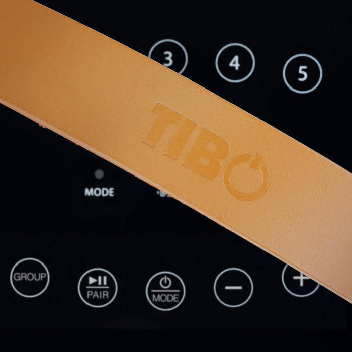 TIBO Lautsprecher smart WiFi 30W